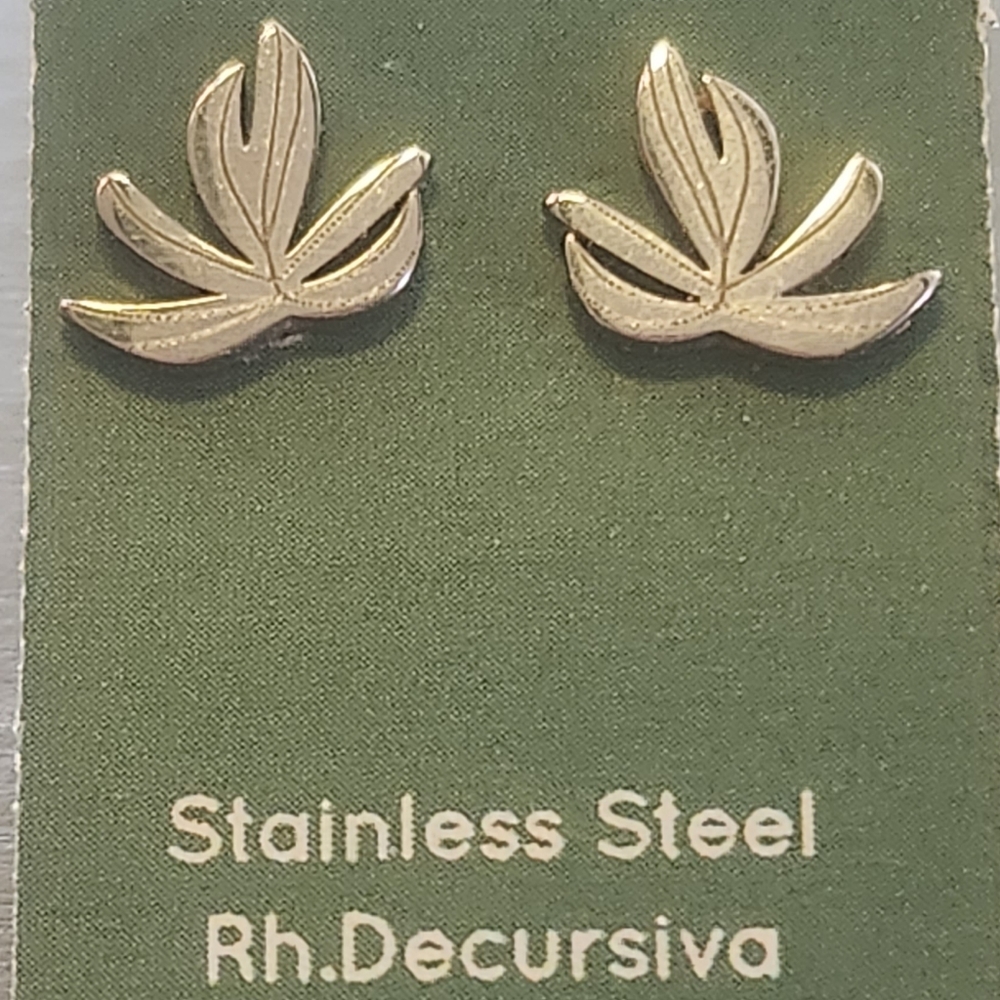 Stainless steel earrings
